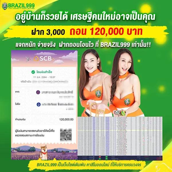 cat999 คาสิโนออนไลน์อันดับหนึ่ง เข้าร่วมสนุกได้ทุกเวลา | เว็บดีสุดในไทย